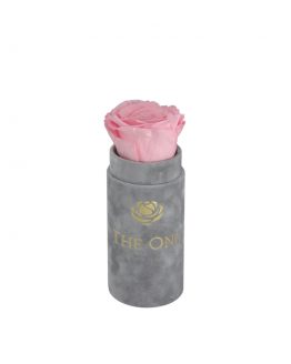 wieczna róża flower box