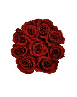 czerwone wieczne róże w rozmiarze s